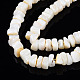 Eau douce naturelle de coquillage perles brins SHEL-S278-042-3