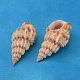 Perles de coquillage en spirale naturelle BSHE-S059-2