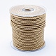 Environment Braided Leather Cord WL-K001-13A-2