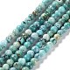 Chapelets de perles en turquoise de HuBei naturelle G-M411-A02-02-1