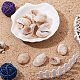 Ph pandahall 50 шт. улитки морские ракушки пляжные ракушки натуральные пляжные ракушки для изготовления свечей SSHEL-PH0002-39-4