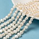 Grado de hebras de perlas de agua dulce cultivadas naturales X-SPDA005Y-1-1