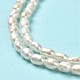 Natural Cultured Freshwater Pearl Beads Strands PEAR-E016-123-4