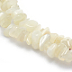 Natural Moonstone Beads Strands G-P406-21-2