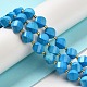 Dyed Natural Howlite Beads Strands G-G023-B01-01A-2