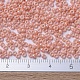 Perles rocailles miyuki rondes X-SEED-G007-RR0596-4