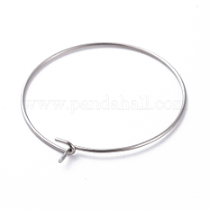 316 Surgical Stainless Steel Hoop Earring Findings STAS-J025-01D-P