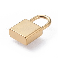 Pendentifs en acier inoxydable 304&nbsp;X-STAS-G205-06G