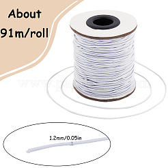 Cordons de perles élastiques ronds fils de nylon à bijoux&nbsp;NWIR-SP0001-01B