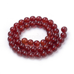 Chapelets de perles en cornaline naturelle&nbsp;X-G-S259-32-6mm