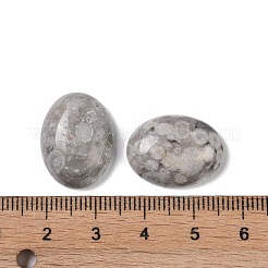 Natürliche Maifanit-Cabochons&nbsp;G-B080-01A-12