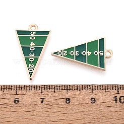 Emaille Anhänger Legierung&nbsp;ENAM-T025-02G-05