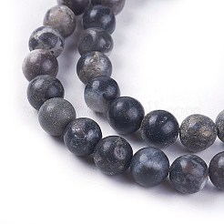 Fili di perline amazonite naturale&nbsp;G-L500-04-8mm