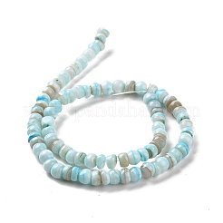 Fili di perline di conchiglie d'acqua dolce coltivate naturali&nbsp;SHEL-F002-01B