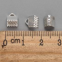 Eisenband Crimp-Enden&nbsp;IFIN-ZX025-S