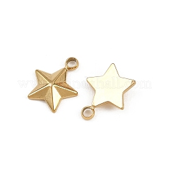 Anhänger aus 304 Edelstahl&nbsp;STAS-K295-13G
