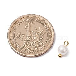 Runde Anhänger aus Muschelperlen mit Faltenstruktur&nbsp;PALLOY-JF03823-01