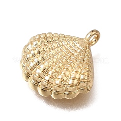 Messing Anhänger & Charms&nbsp;KK-CBA2395-09G-02