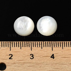 Natürliche weiße Muschel cabochons&nbsp;X-SSHEL-M022-01C