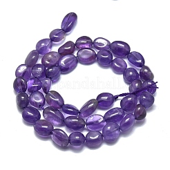 Natürlichen Amethyst Perlen Stränge&nbsp;X-G-O186-B-05