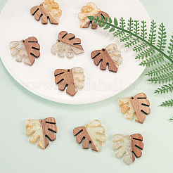 Pendentifs en résine transparente et bois de noyer&nbsp;RESI-CJ0001-53