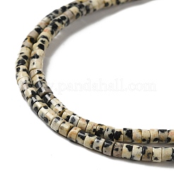 Dalmata naturale perline di diaspro fili&nbsp;G-E612-A01-A