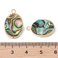 Natur Paua Muschel Anhänger&nbsp;SHEL-P017-17G