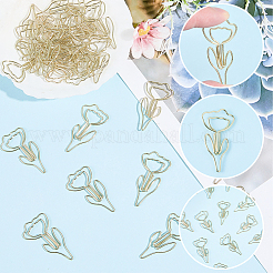 60 pieza de clips de papel de hierro&nbsp;OFST-SP0001-07