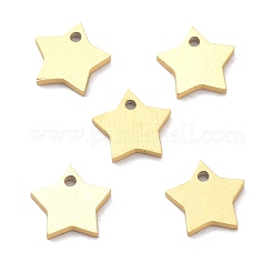 Placcatura ionica (ip) ciondoli in acciaio inossidabile 304&nbsp;STAS-K216-46G