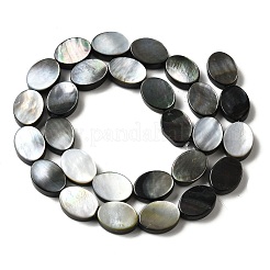Naturel noir à lèvres shell perles brins&nbsp;BSHE-D300-02-10x14mm
