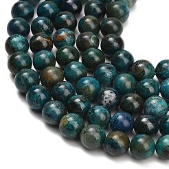 Natur Chrysokoll Perlen Stränge&nbsp;G-G475-A03-10mm