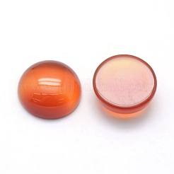Cabochons de cornaline naturelle&nbsp;X-G-P393-R41-12mm