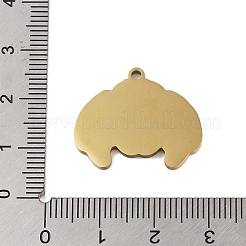 201 Edelstahlanhänger&nbsp;STAS-C095-09G