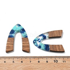 Pendenti in resina e noce&nbsp;FIND-R051-11A