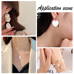 48 Stück 8 Arten natürliche Süßwasser-Muschel-Anhänger&nbsp;SHEL-HY0001-09