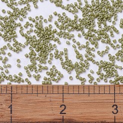 Miyuki Delica Perlen&nbsp;SEED-MY11-DB2124