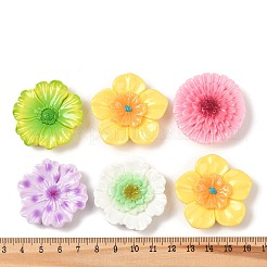 Cabochons di opaco resina&nbsp;RESI-K030-07