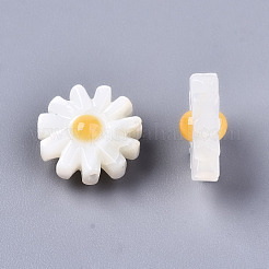 Perlas de concha de nácar de concha blanca natural&nbsp;SHEL-S266-13A