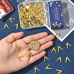 60 pièces pendentifs en alliage de style tibétain&nbsp;FIND-SC0019-36G