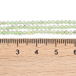 Natur Prehnit Perlen Stränge&nbsp;G-C255-B03-2mm