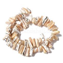 Brins de perles de trocas naturelles teintes&nbsp;SSHEL-C013-09K