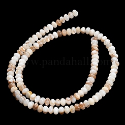 Naturali di acqua dolce perline shell fili&nbsp;SHEL-C010-04B-01