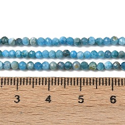 Natürliche Apatit Perlen Stränge&nbsp;G-D347-A01