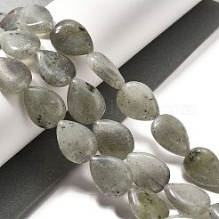 Natur Labradorit Perlen Stränge&nbsp;G-P561-B05-01
