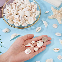 Kit fai da te per la creazione di gioielli con conchiglie naturali&nbsp;DIY-BT0001-37