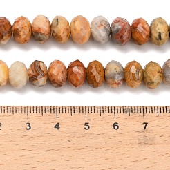Natur verrückt Achat Perlen Stränge&nbsp;G-C259-A04-8x12mm