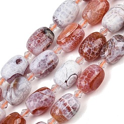 Naturelles feu crépitent agate perles brins&nbsp;G-K393-G02-12x16