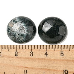 Natur Moos Achat Cabochons&nbsp;G-C115-02A-46