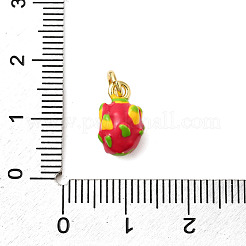 Messing Emaille Anhänger / charms&nbsp;KK-P303-06F-G