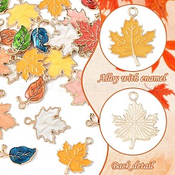 Pendenti in lega di zinco a tema autunno 30pcs 10 stili&nbsp;ENAM-YW0006-94